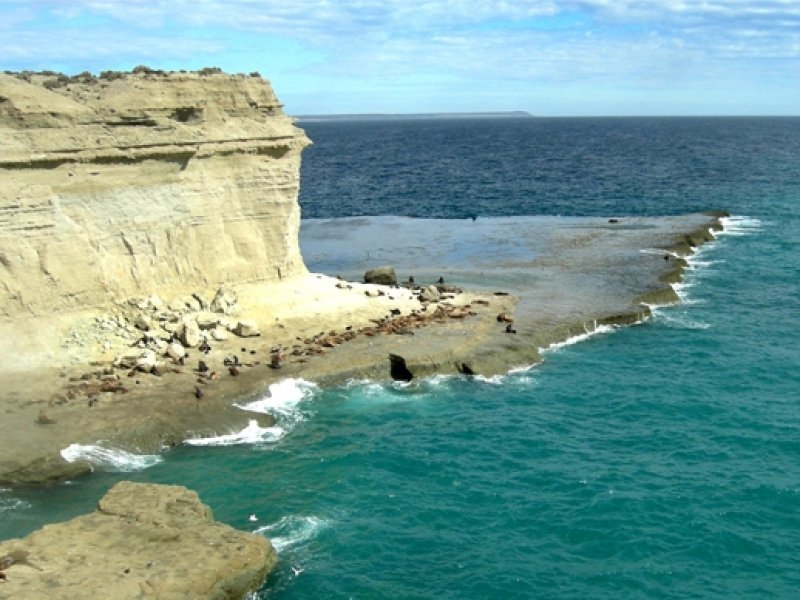Patagonia Paisagens - Península Valdés