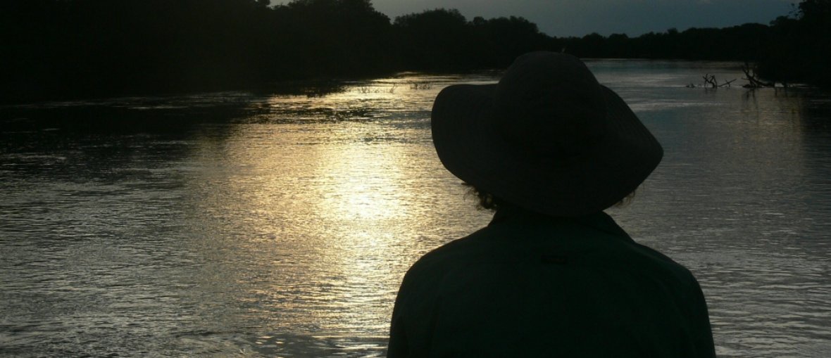 Turismo no Pantanal - Visual