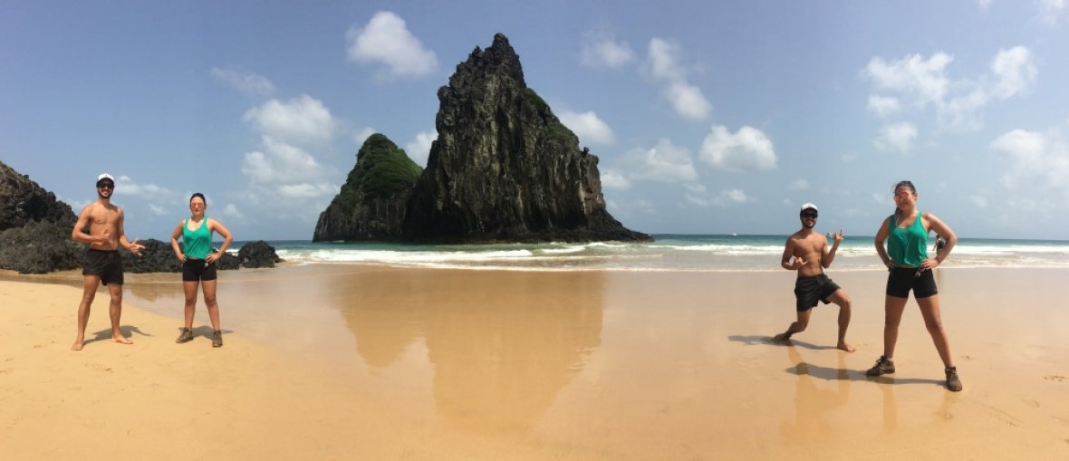 Pacotes para Fernando de Noronha - Panorâmica