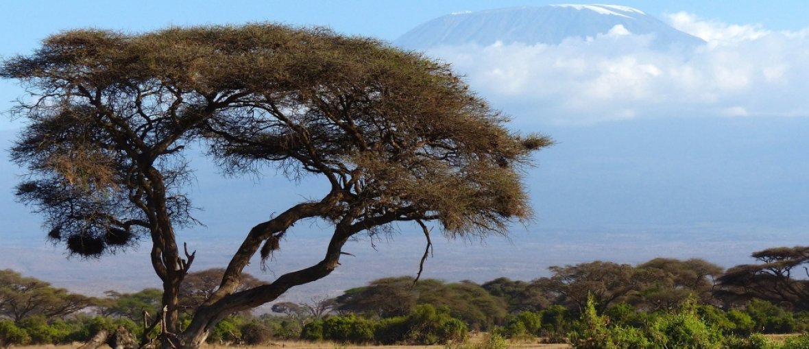 Viagem para Quênia - Monte Kilimanjaro