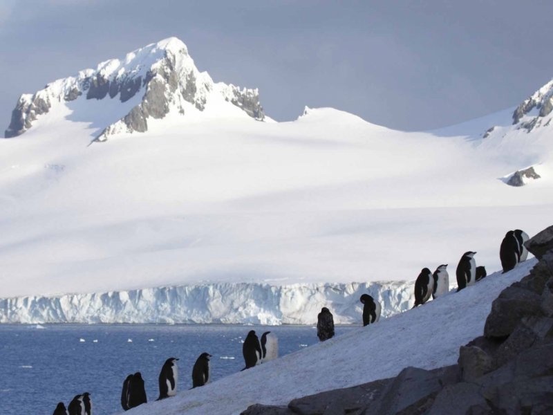 Cruzeiro na Antártica - Navio MV Ushuaia