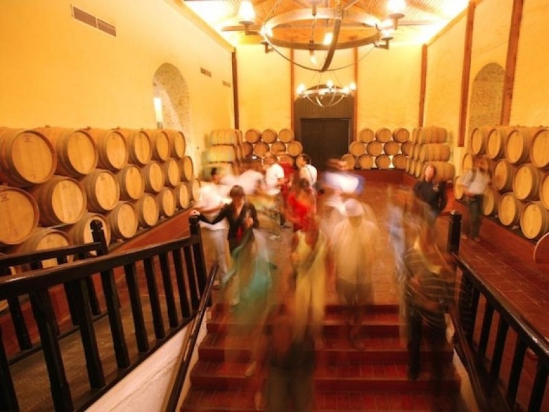 Santiago Neve - Paisagens e Vinho