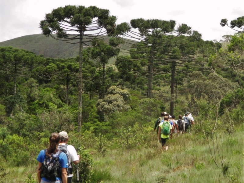 Parque Estadual da Serra do Papagaio - Travessia do Segredo