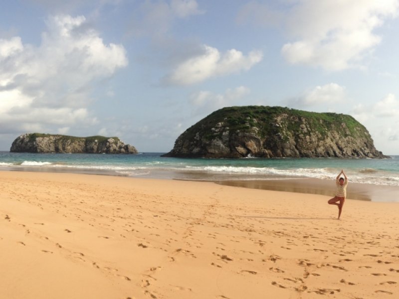 Fernando de Noronha Flex 