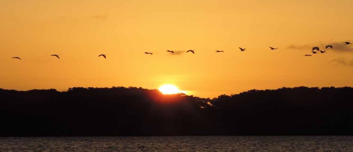 Pacotes de Viagem para o Delta do Parnaíba - Revoada dos Guarás