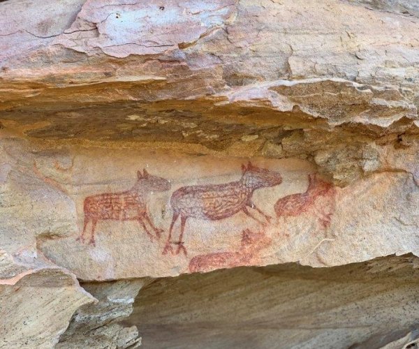 Os Sítios Arqueológicos da Serra da Capivara