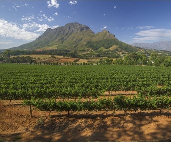 África do Sul - Safári no Kapama, Cape Town e Vinícolas