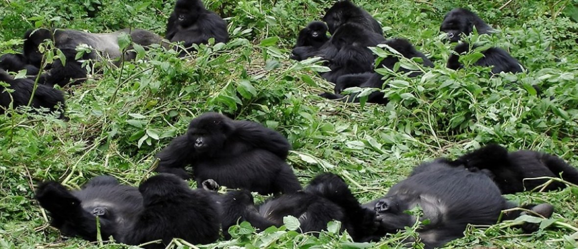 Ruanda