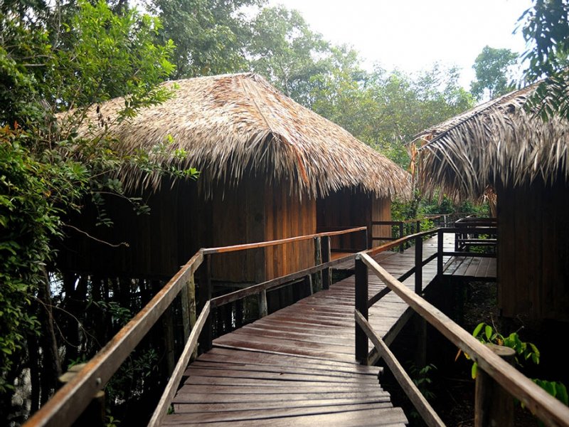 Amazônia - Juma Amazon Lodge com Pernoite na Selva