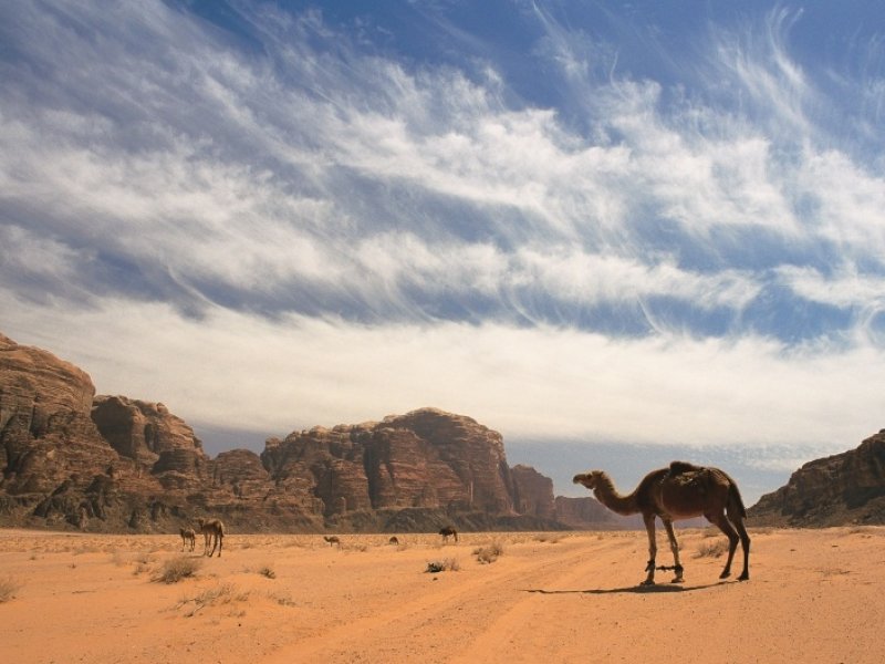 Jordânia Cultural, Deserto de Wadi Rum e Mar Morto