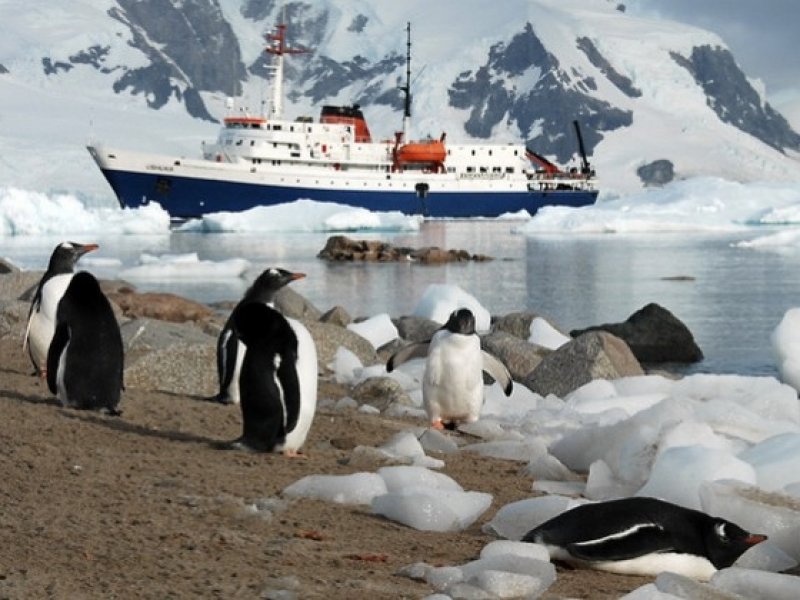 Cruzeiro na Antártica - Navio MV Ushuaia