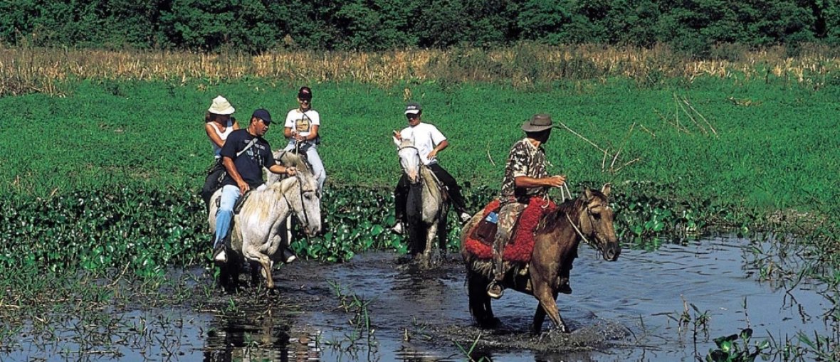 Pantanal
