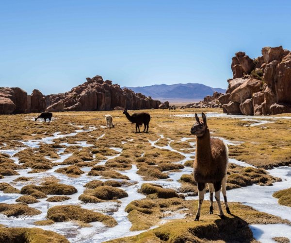 Bolívia - La Paz e Salar de Uyuni Completo