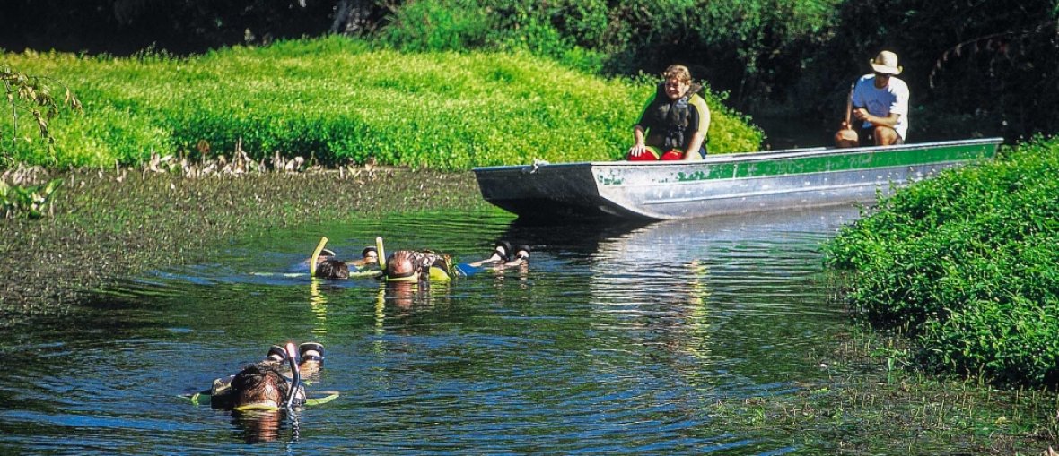 Pacotes para Bonito - Snorkelling2