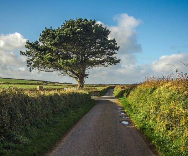 Inglaterra e País de Gales