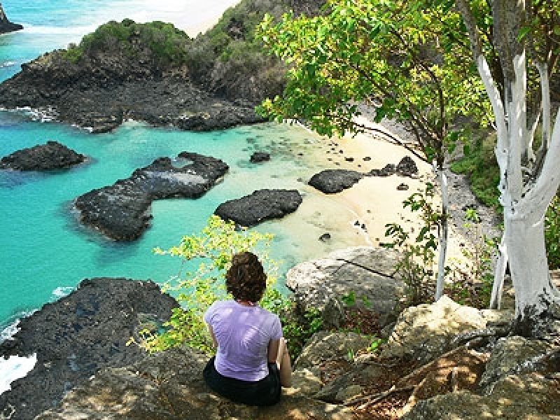 Fernando de Noronha Flex
