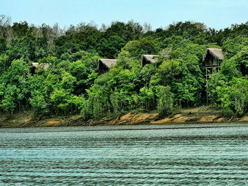 Amazônia - Belém, Ilha de Marajó, Alter do Chão e Juma Amazon Lodge