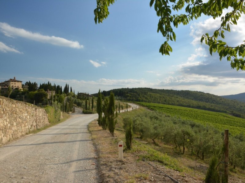 Itália Cicloturismo - Belezas da Toscana