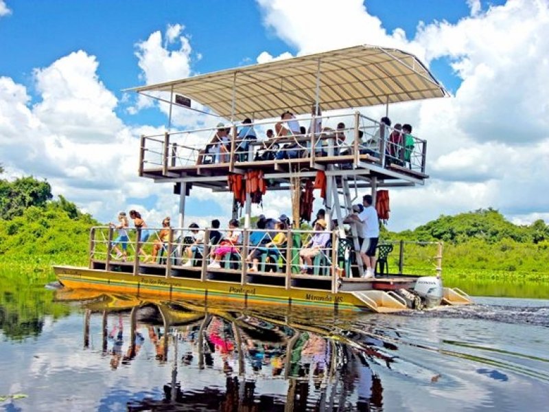 Pantanal Sul - Fazenda San Francisco