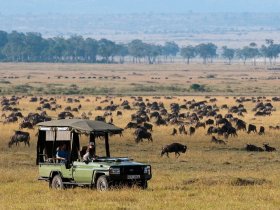 Safári no Quênia - Great Plains Conservation