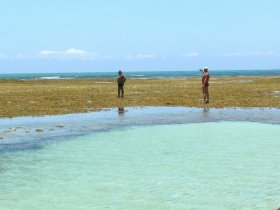Ilha de Boipeba Completo