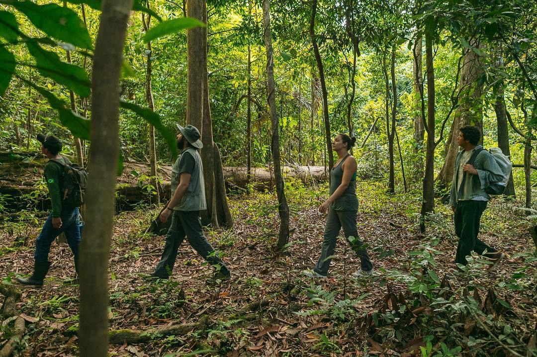 Reserva Mamirauá Pousada Uacari Amazônia