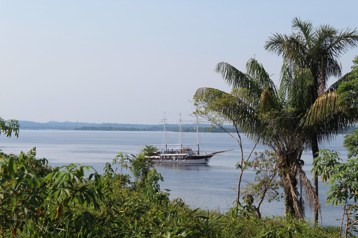 Amazônia - Navegação pelo Rio Negro - M/V Desafio