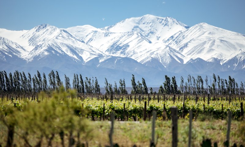 Mendoza