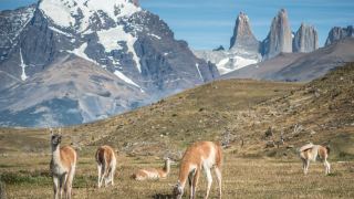 Patagônia Chilena Torres del Paine