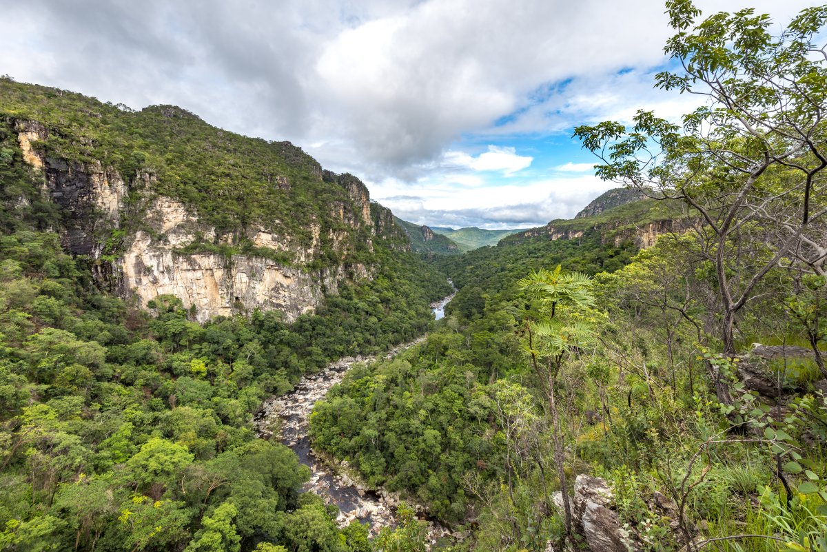 Chapada dos Veadeiros