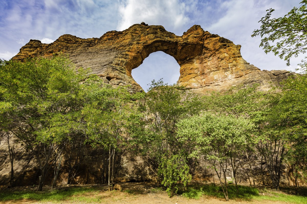 Os Sítios Arqueológicos da Serra da Capivara