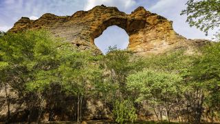 Os Sítios Arqueológicos da Serra da Capivara