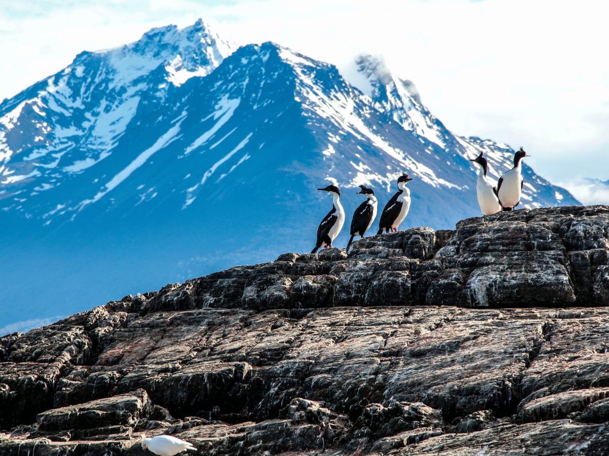 Ushuaia Patagônia Argentina