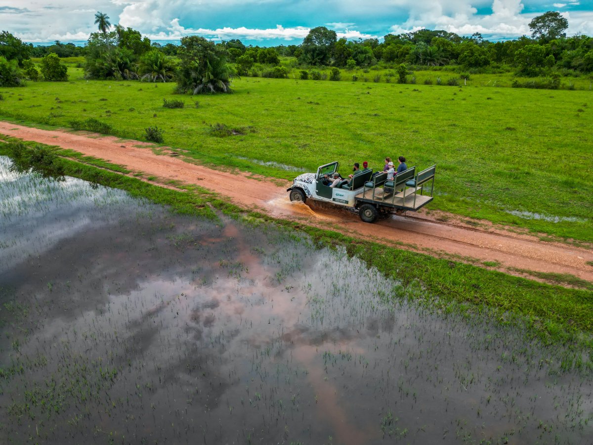 Pantanal