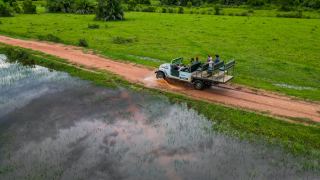 Pantanal Aguapé