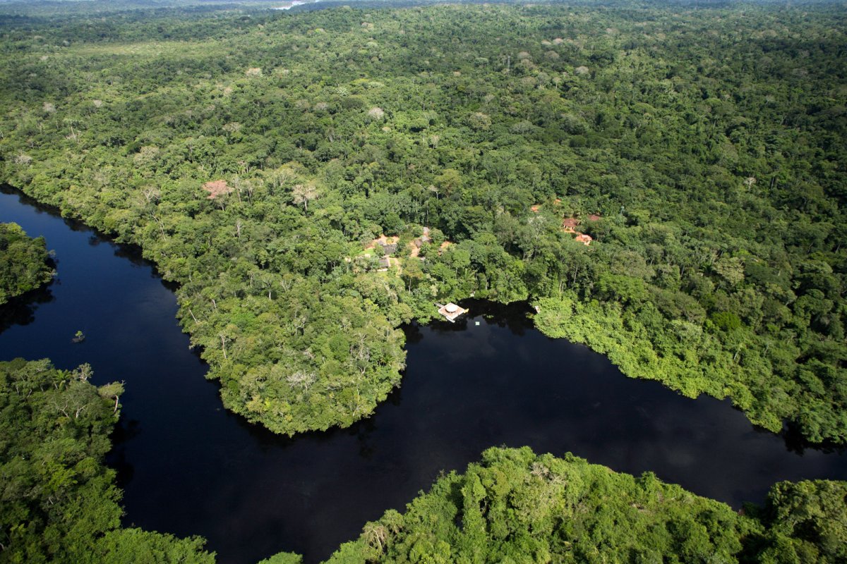 Amazônia - Cristalino Jungle Lodge - Um Santuário Amazônico