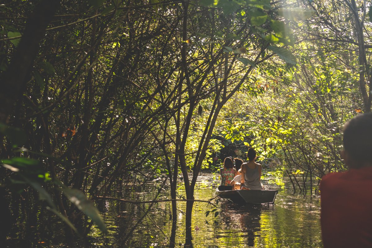 Amazônia - Vivência Ribeirinha no Baixo Rio Negro