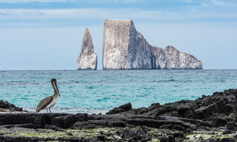 Galápagos