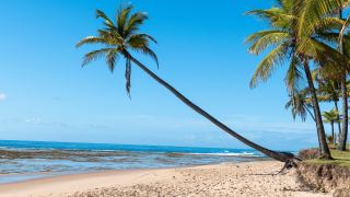 Ilha de Boipeba Bahia