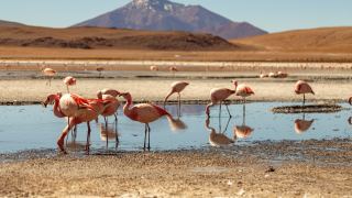 Bolívia Altiplano