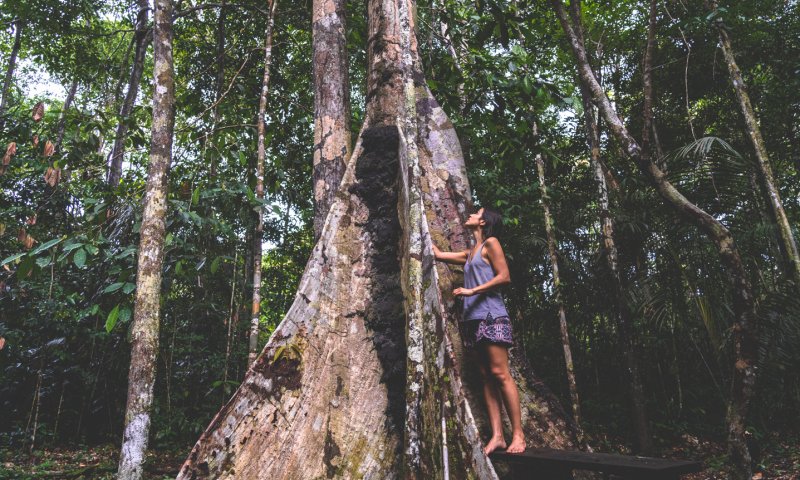 Amazônia - Vivência Ribeirinha no Baixo Rio Negro
