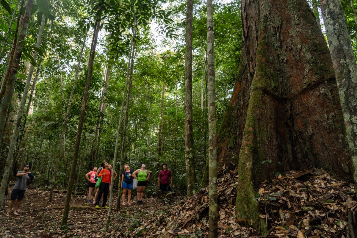 Amazônia - Vivência Ribeirinha no Baixo Rio Negro