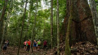 Amazônia - Vivência Ribeirinha no Baixo Rio Negro
