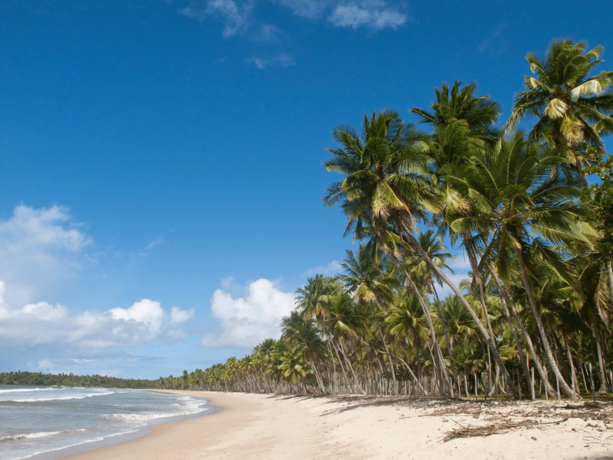 Ilha de Boipeba Bahia