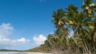 Ilha de Boipeba Bahia