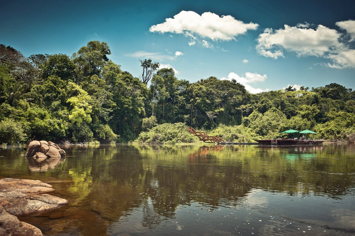 Amazônia - Cristalino Jungle Lodge - Um Santuário Amazônico