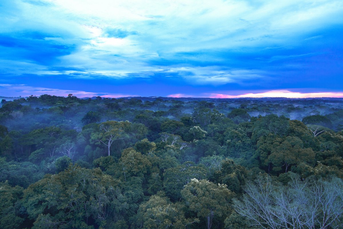 Amazônia Cristalino