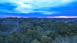 Amazônia Cristalino
