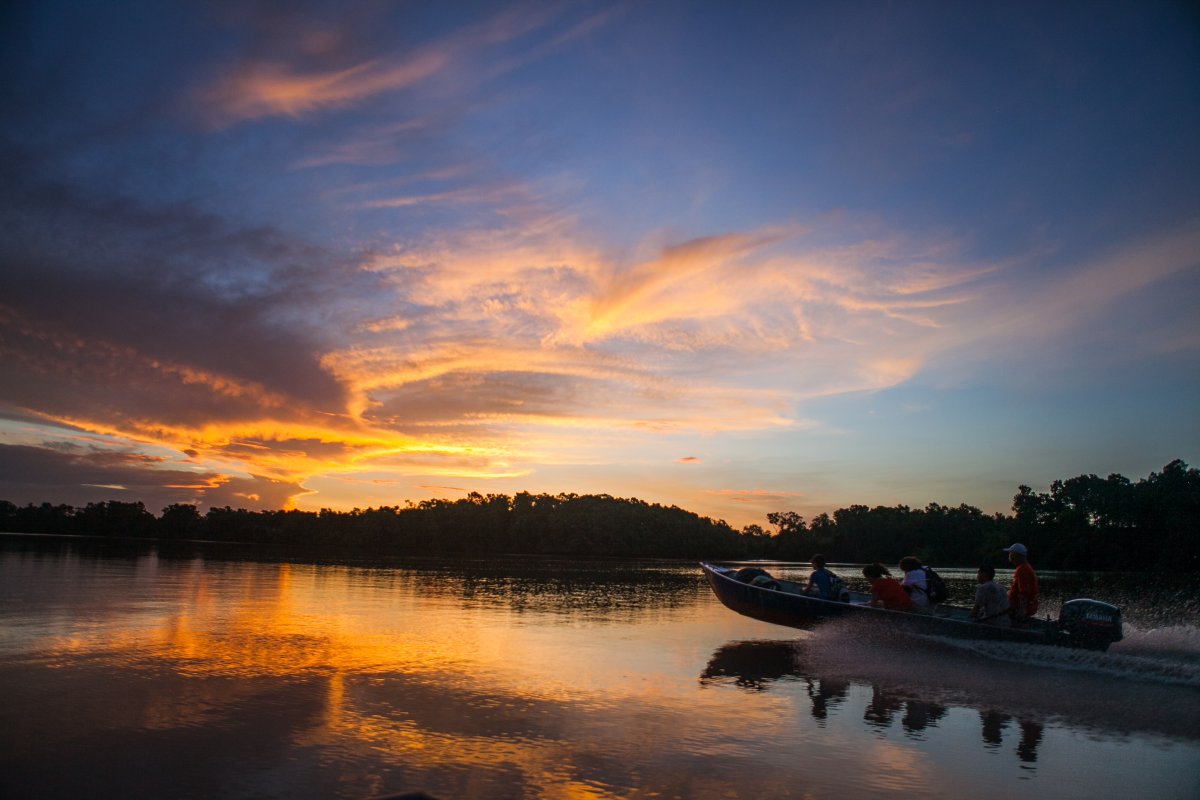 Ilha do Marajó Pará