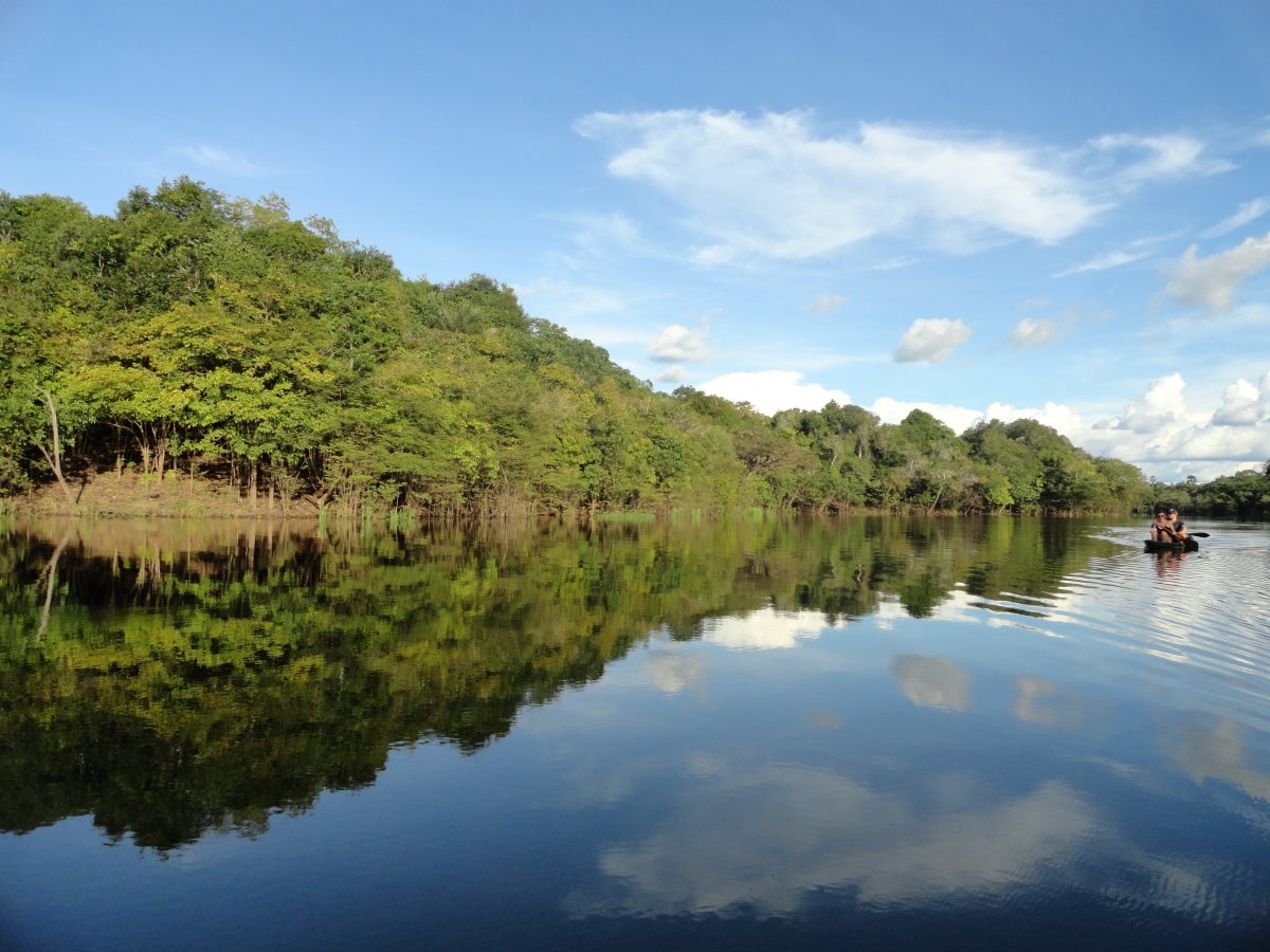 Amazônia - Juma Amazon Lodge